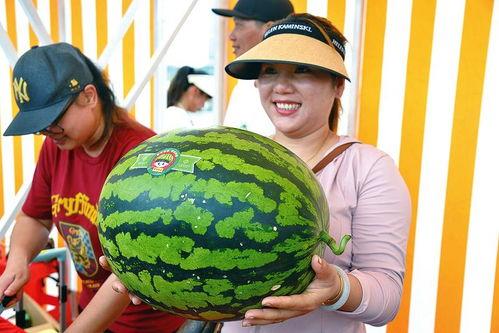 吃瓜观娱乐,吃瓜群众视角下的明星八卦  第2张