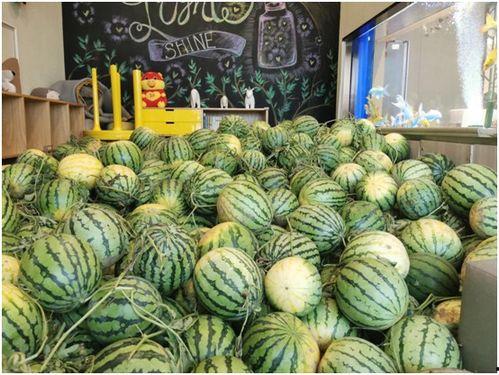 吃瓜观娱乐,吃瓜群众视角下的明星八卦  第3张